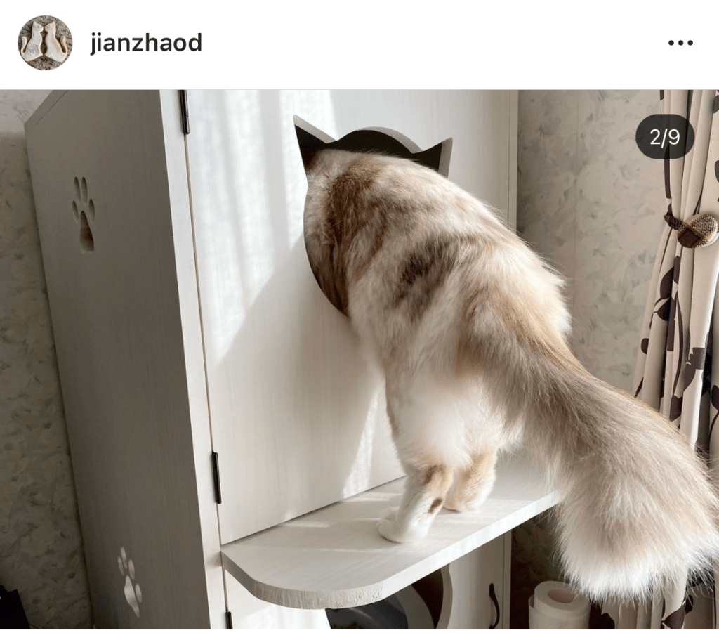 猫のトイレカバーハウス