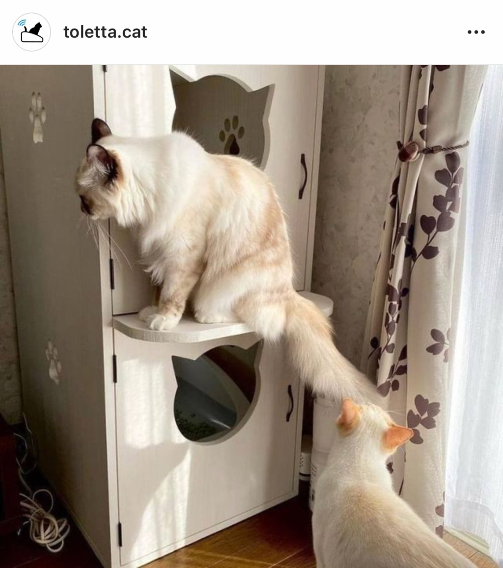 tolettaのインスタグラムで猫のトイレカバーが紹介されました