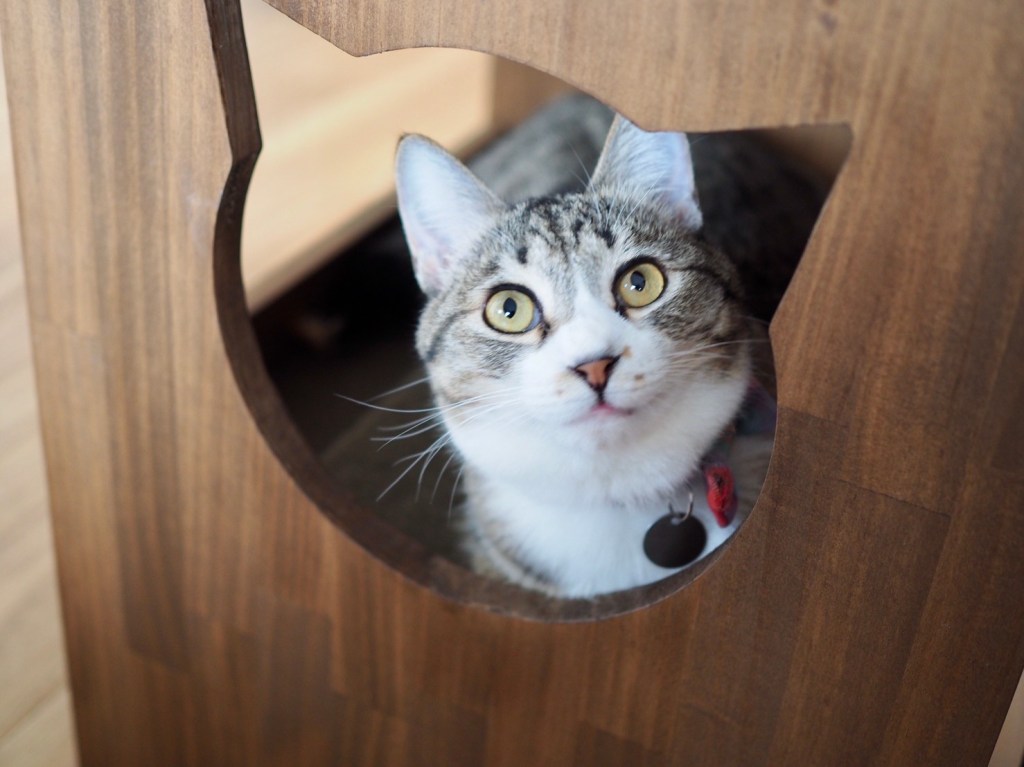 まずやれることからやってみる