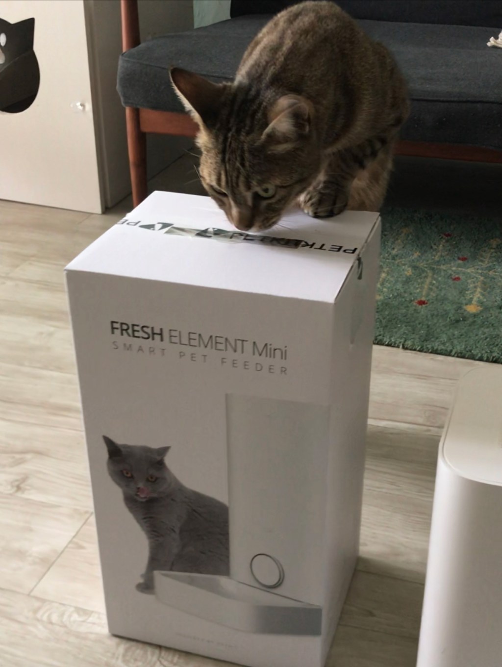 ついに自動給餌器を購入！