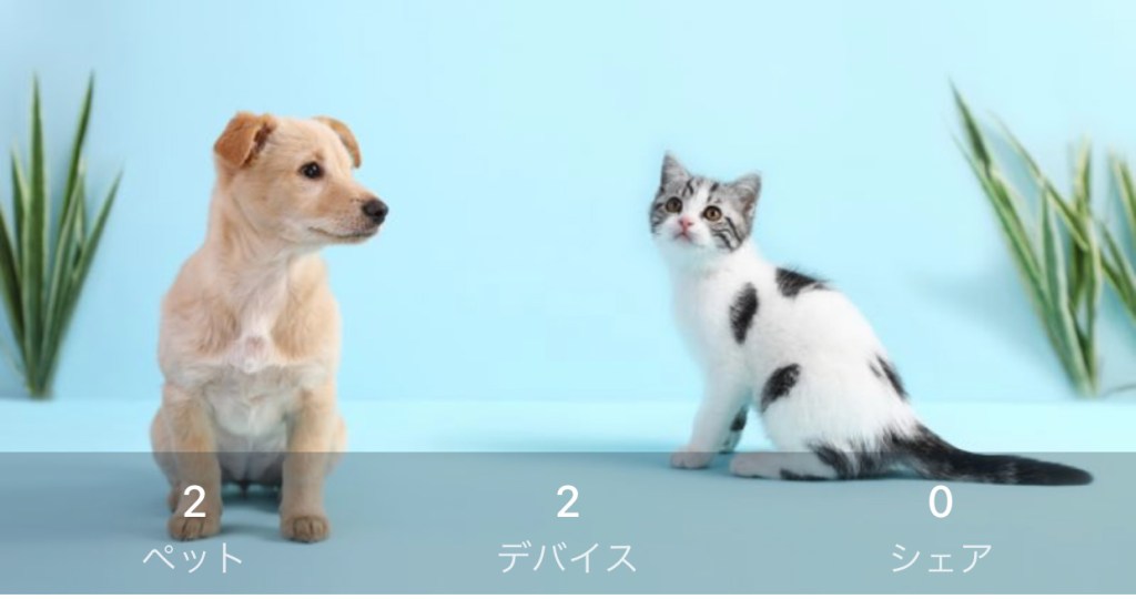 猫の自動給餌器　その４　アプリ設定