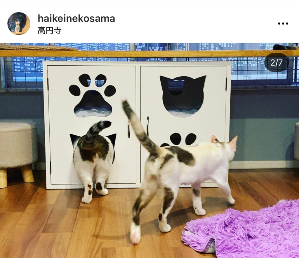 保護猫カフェに猫ハウスを設置
