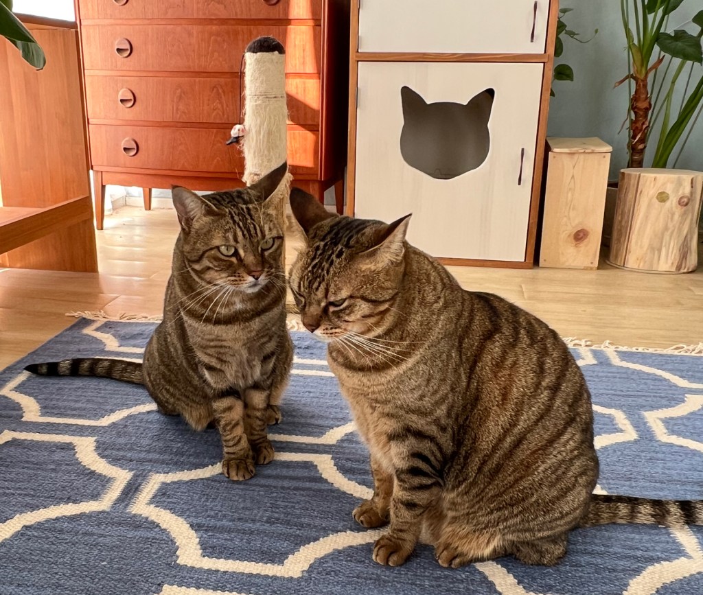 快適ワイドはトイレシートの無駄が少ない