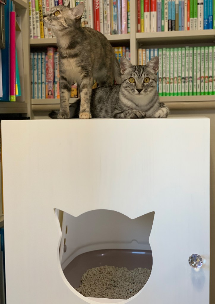 脚付き猫のトイレカバーハウス（デオトイレサイズ）