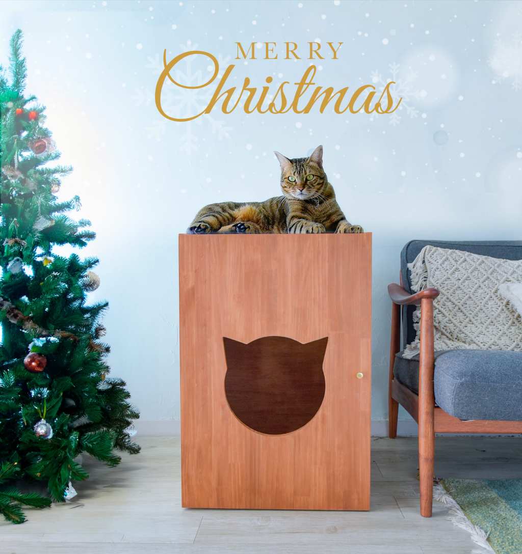 クリスマスバージョンのカバー写真