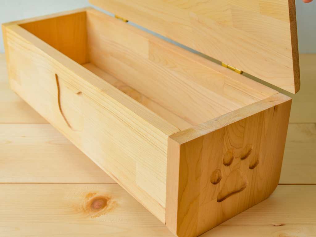 保護猫カフェで餌台を展示