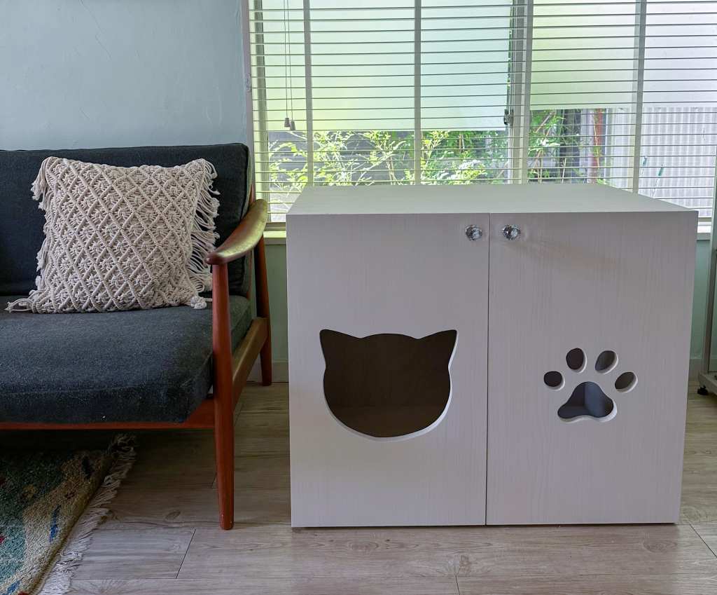 キュートの入り口