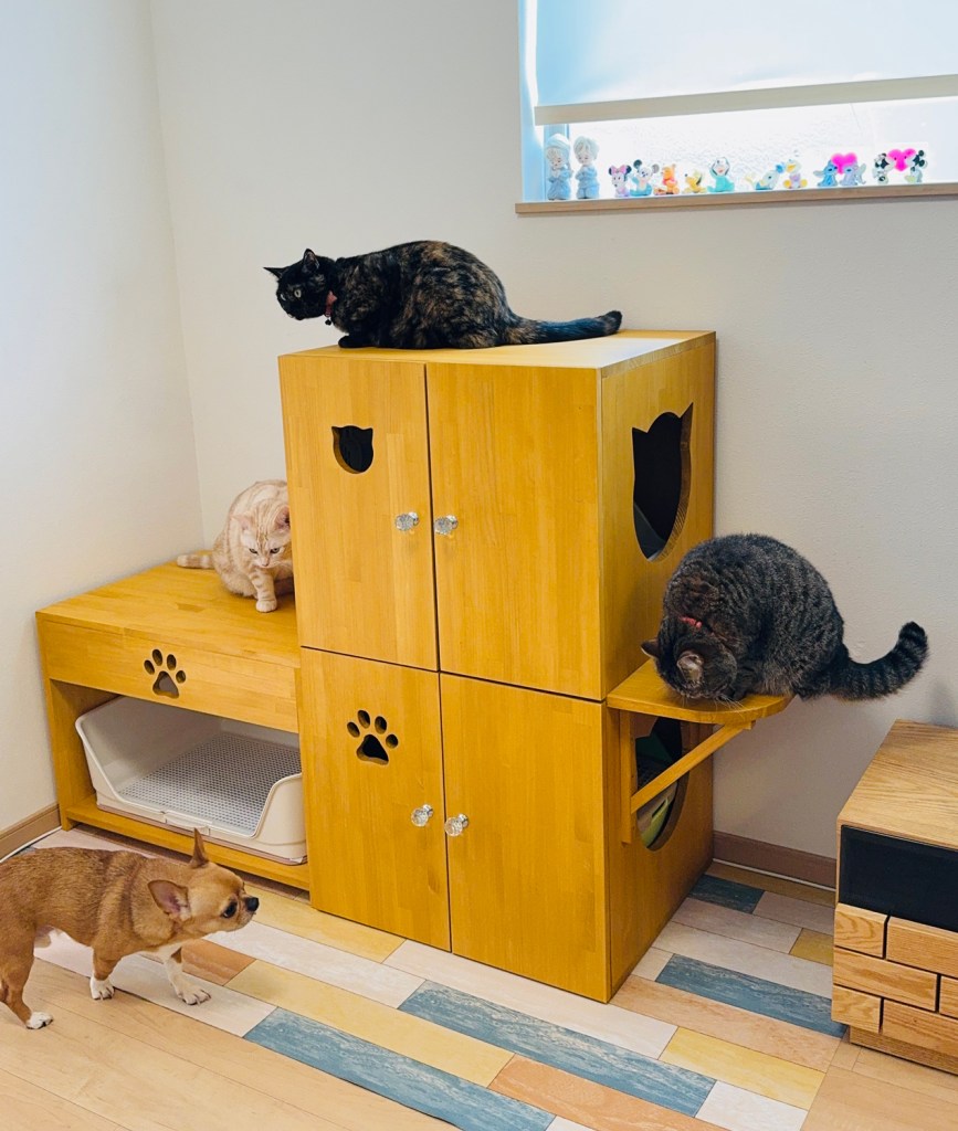 ネコちゃんわんちゃんお揃いのトイレカバーハウス