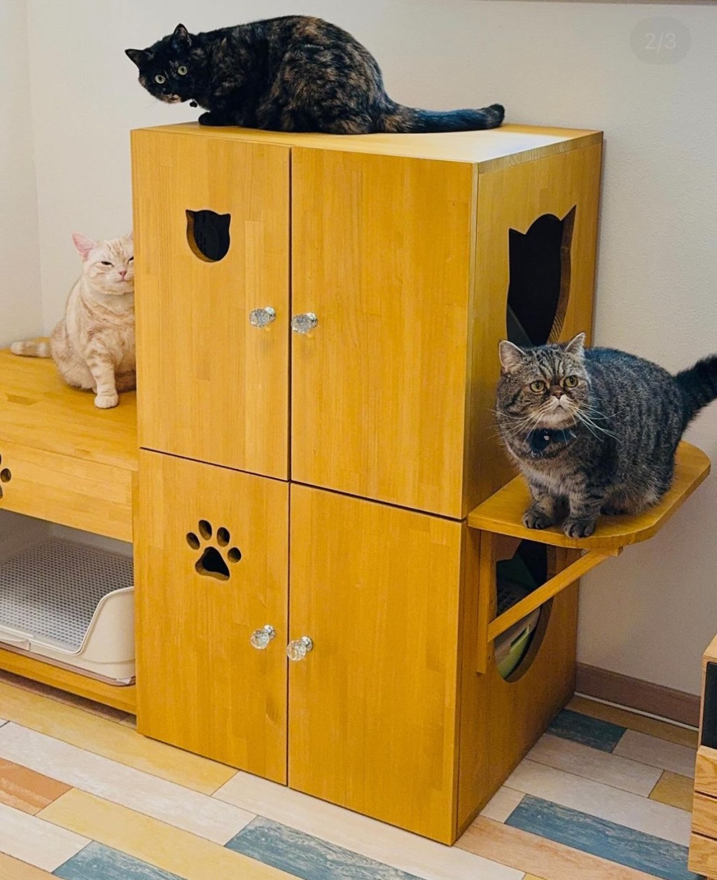 わんちゃんねこちゃんお揃いトイレカバーハウス