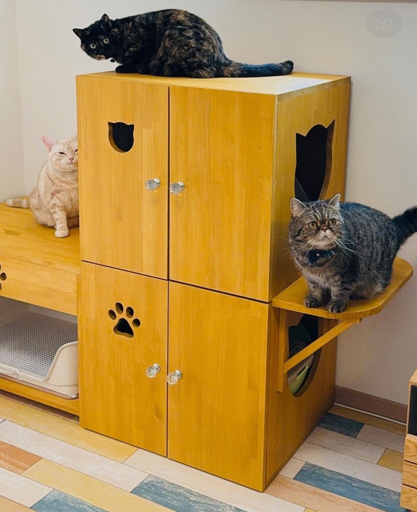 わんちゃんねこちゃんお揃いトイレカバーハウス