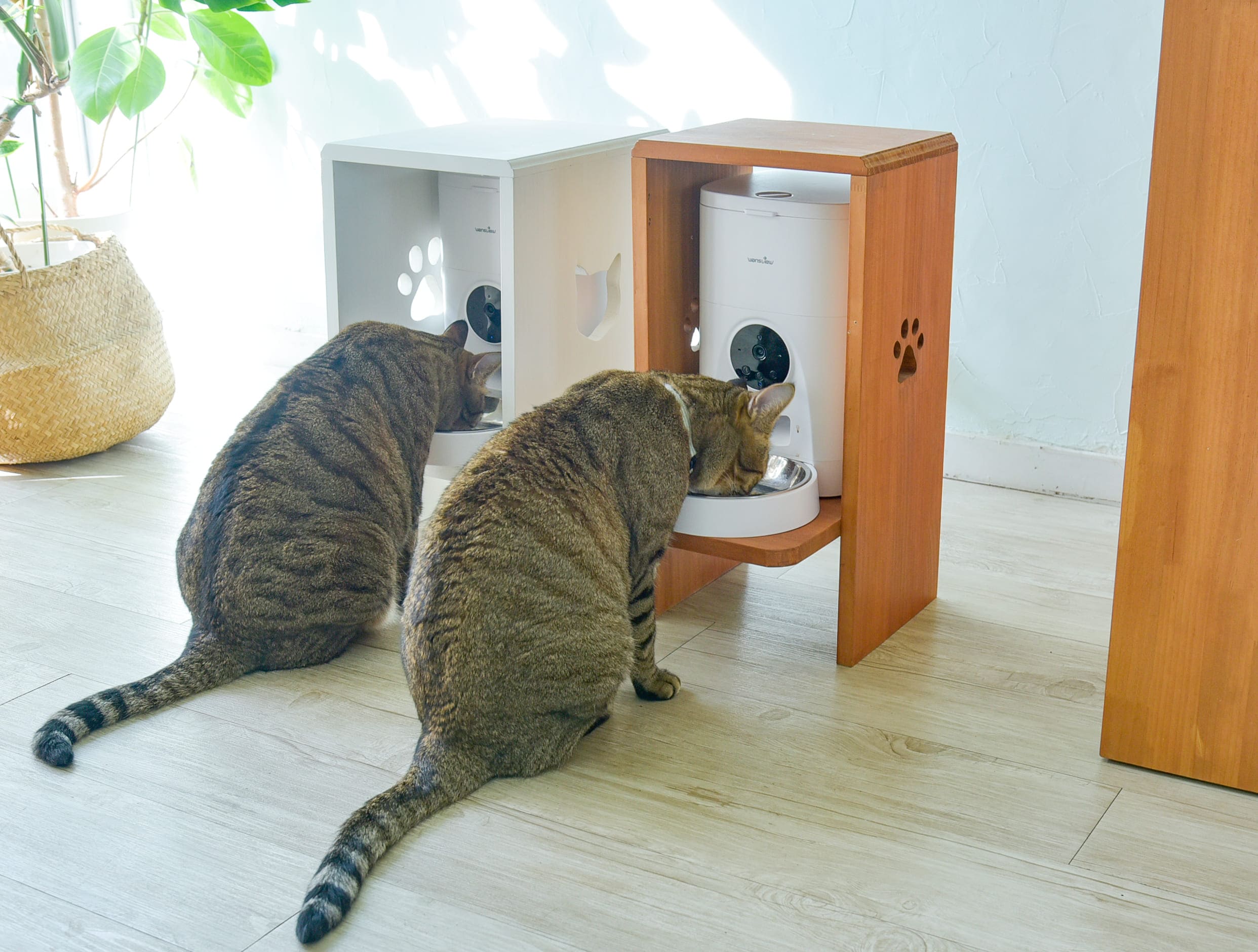 自動給餌器カバー