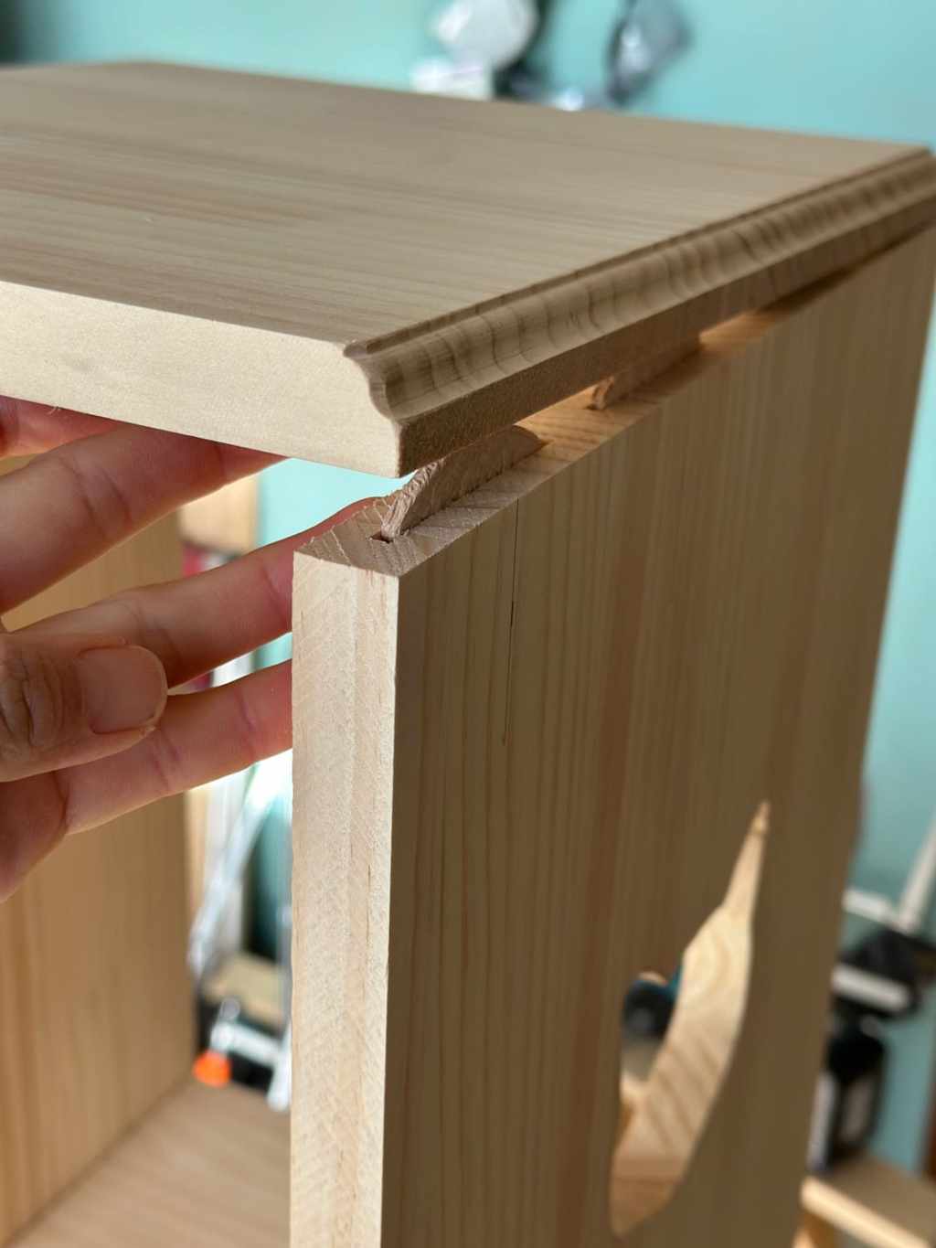 自動給餌器カバーを進化させる？