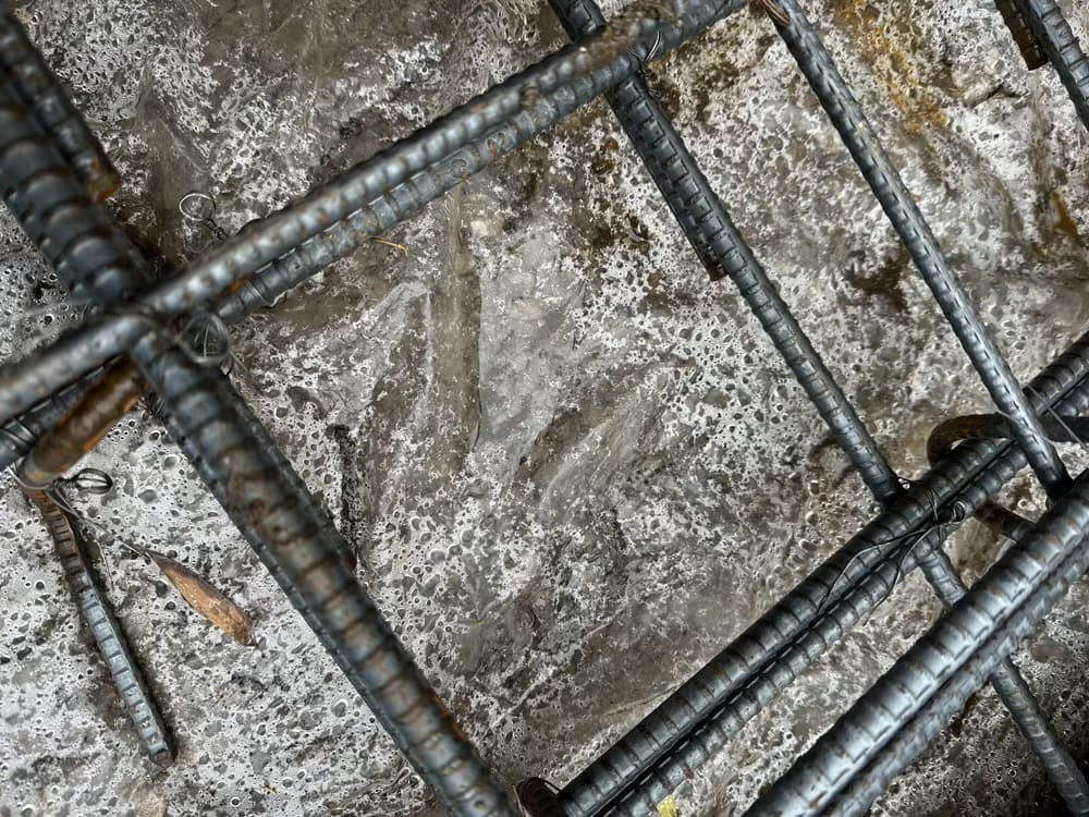 工房付き猫と暮らす家