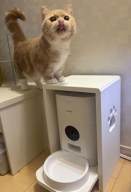 自動給餌器カバー