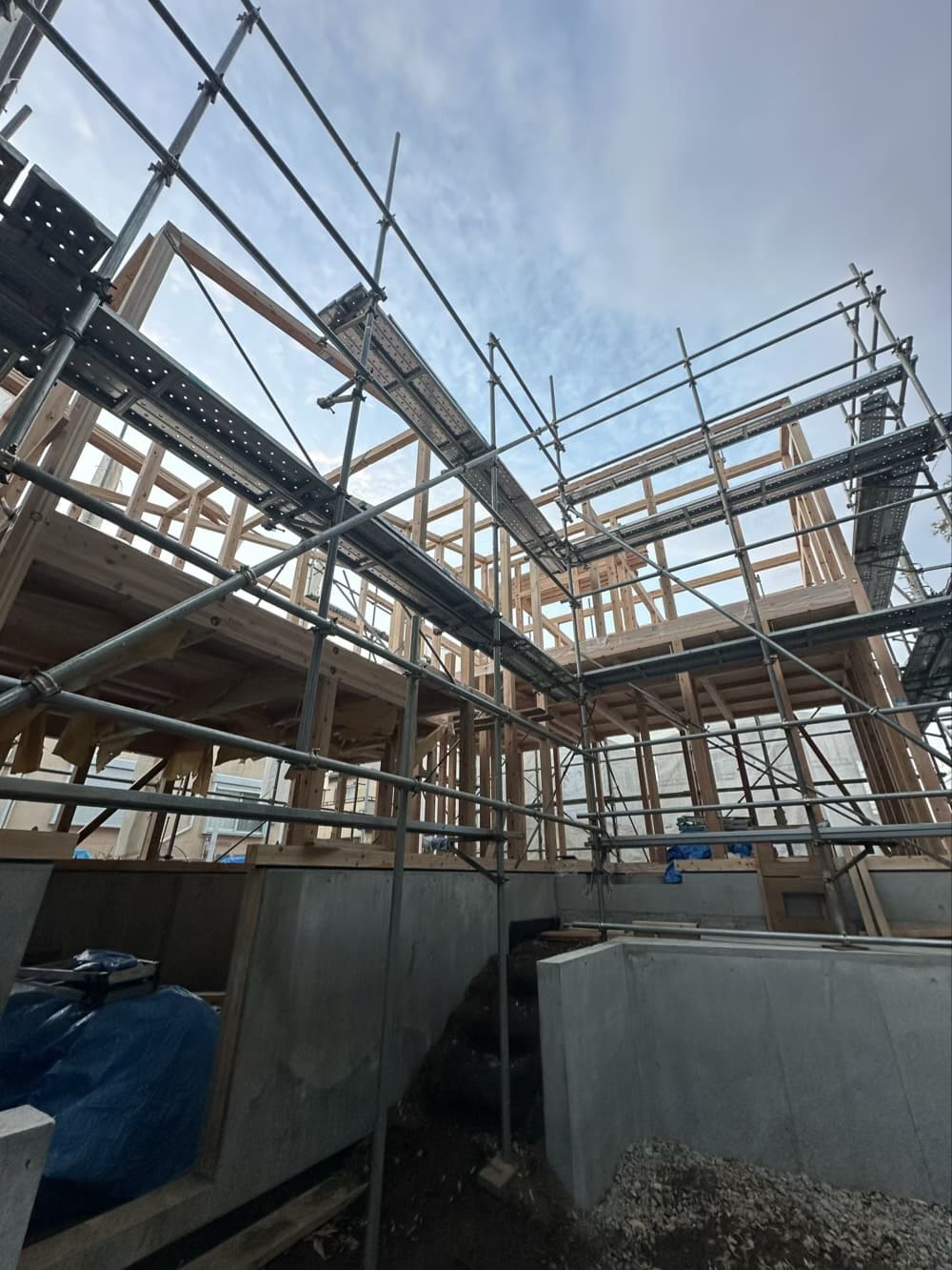 猫と暮らす家づくり vol.5 ｜いよいよ棟上げ