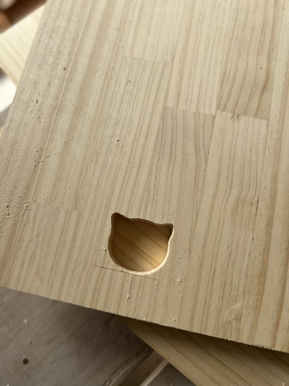 自動給餌器カバー