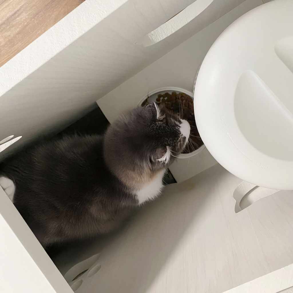 猫のごはん個室(ごはんハウス)