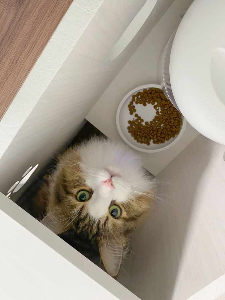 自動給餌器の個室