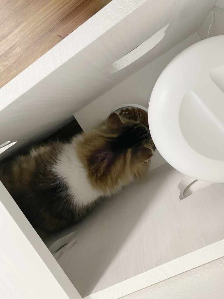 自動給餌器の個室