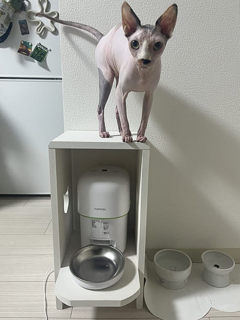 自動給餌器カバー